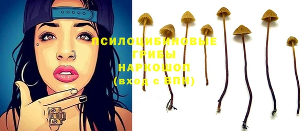шишки Лагань