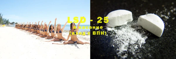 шишки Лагань