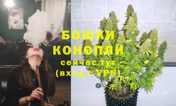 шишки Лагань