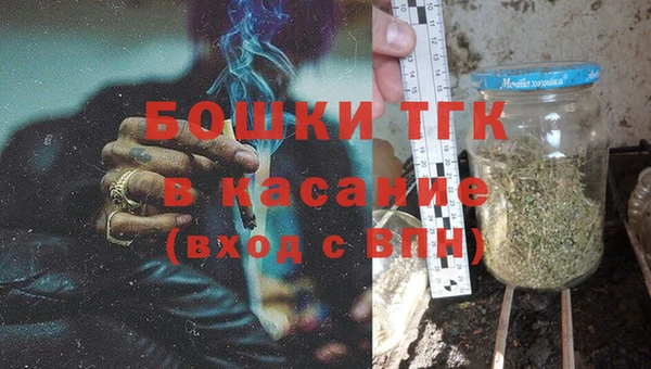 шишки Лагань